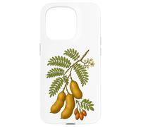 Illustration botanique du Tamarin Coque pour iPhone 15 Pro