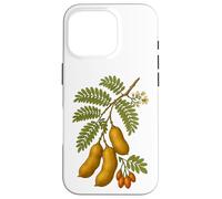 Illustration botanique du Tamarin Coque pour iPhone 16 Pro