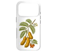 Illustration botanique du Tamarin Coque pour iPhone 17 Pro