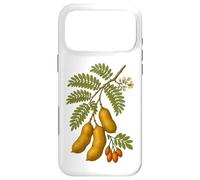 Illustration botanique du Tamarin Coque pour iPhone 17 Pro Max