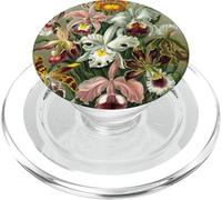 Illustration botanique Vintage de Fleur d'orchidée PopSockets PopGrip pour MagSafe