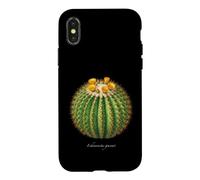 Illustration Cactus Baril Echinocactus grusonii Coque pour iPhone X/XS