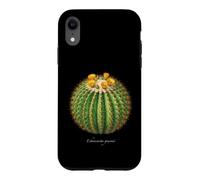 Illustration Cactus Baril Echinocactus grusonii Coque pour iPhone XR