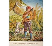 Illustration chromolithographique de la vie et des aventures de Robinson Crusoe par Daniel Defoe de A Softback Edition Publié Circa 1860S Poster Print (30,5 x 43,2 cm)
