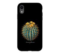 Illustration de Cactus Bleu Ferocactus glaucescens Coque pour iPhone XR