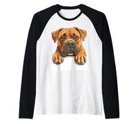 Illustration de Chien Boxer Curieux Qui Regarde Un Chien Manche Raglan