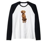 Illustration de Chien Redbone Coonhound Manche Raglan