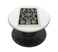 Illustration de crabes Ernst Haeckel PopSockets PopGrip Adhésif