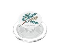 Illustration de Plante Bleu Layette Eucalyptus pulverulenta PopSockets PopGrip pour MagSafe