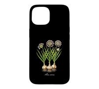 Illustration de Plante d'ail Allium sativum Coque pour iPhone 15