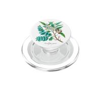 Illustration de Plante de cidre Eucalyptus gunnii PopSockets PopGrip pour MagSafe