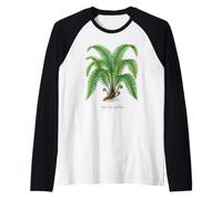Illustration de Plante de fougère de Boston Nephrolepis exaltata Manche Raglan