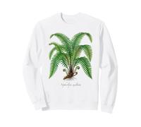 Illustration de Plante de fougère de Boston Nephrolepis exaltata Sweatshirt