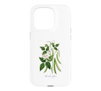 Illustration de Plante de Haricot français Phaseolus vulgaris Coque pour iPhone 15 Pro