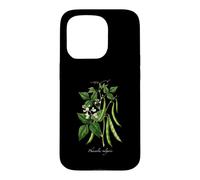 Illustration de Plante de Haricot français Phaseolus vulgaris Coque pour iPhone 15 Pro