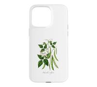 Illustration de Plante de Haricot français Phaseolus vulgaris Coque pour iPhone 15 Pro Max