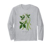 Illustration de Plante de Haricot français Phaseolus vulgaris Manche Longue