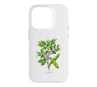 Illustration de Plante de Haricot Large Vicia faba Coque pour iPhone 14 Pro