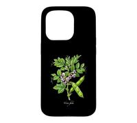 Illustration de Plante de Haricot Large Vicia faba Coque pour iPhone 15 Pro