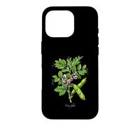 Illustration de Plante de Haricot Large Vicia faba Coque pour iPhone 16 Pro