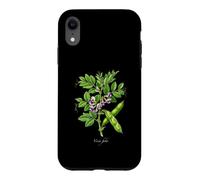 Illustration de Plante de Haricot Large Vicia faba Coque pour iPhone XR