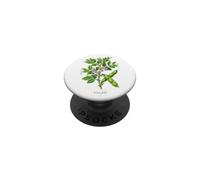 Illustration de Plante de Haricot Large Vicia faba PopSockets PopGrip Adhésif