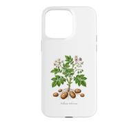 Illustration de Plante de Pomme de Terre Solanum tuberosum Coque pour iPhone 15 Pro Max