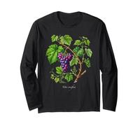 Illustration de Plante de Raisin Vitis vinifera Manche Longue