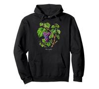 Illustration de Plante de Raisin Vitis vinifera Sweat à Capuche
