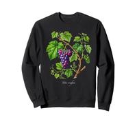 Illustration de Plante de Raisin Vitis vinifera Sweatshirt