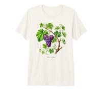 Illustration de Plante de Raisin Vitis vinifera T-Shirt Haut de Gamme