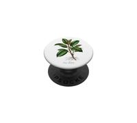 Illustration de Plante en Caoutchouc Ficus elastica PopSockets PopGrip Adhésif
