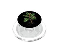 Illustration de Plante en Caoutchouc Ficus elastica PopSockets PopGrip pour MagSafe