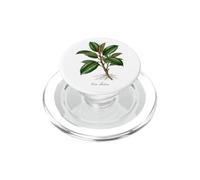 Illustration de Plante en Caoutchouc Ficus elastica PopSockets PopGrip pour MagSafe