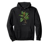 Illustration de Plante en Caoutchouc Ficus elastica Sweat à Capuche
