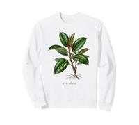 Illustration de Plante en Caoutchouc Ficus elastica Sweatshirt