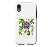 Illustration de Plante Maypop Passiflora incarnata Coque pour iPhone XR