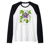 Illustration de Plante Maypop Passiflora incarnata Manche Raglan