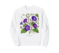 Illustration de Plante Morning Glory Ipomoea purpurea Sweatshirt