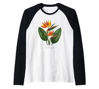 Illustration de Plante Oiseau de Paradis Strelitzia Reginae Manche Raglan