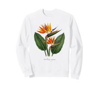 Illustration de Plante Oiseau de Paradis Strelitzia Reginae Sweatshirt