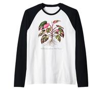 Illustration de Plante Philodendron Pink Princess Manche Raglan