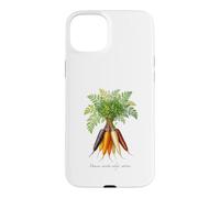 Illustration de Plantes de Carottes Daucus carota subsp. sativus Coque pour iPhone 15 Plus