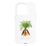 Illustration de Plantes de Carottes Daucus carota subsp. sativus Coque pour iPhone 15 Pro