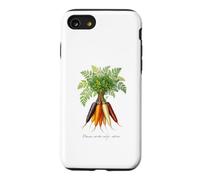 Illustration de Plantes de Carottes Daucus carota subsp. sativus Coque pour iPhone SE (2020) / 7/8