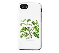 Illustration de Plantes de Vigne de Fromage Suisse Monstera adansonii Coque pour iPhone SE (2020) / 7/8