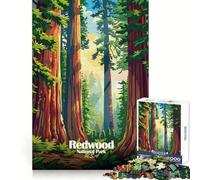 Illustration du Parc National de Redwood Puzzle de 1000 pièces pour Adultes Exercice Mental,évasion et Pleine Conscience Surprise de Noël Snug Lock (50x75cm)