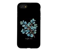 Illustration Eucalyptus Dollar Argent Eucalyptus cinerea Coque pour iPhone SE (2020) / 7/8
