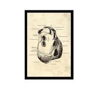 Illustration murale vintage du corps humain - Image murale médicale - Squelette - Organe musculaire - Impression sur toile - Décoration de chambre de clinique (20 x 30 cm), cadre photo noir)