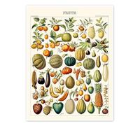 Illustration of Fruits, 1923 Poster de Adolphe Millot 70 x 90 cm Déco colorée Tableaux Décoration murale